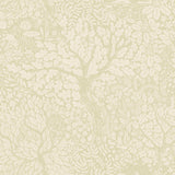 A-Street Prints Olle Neutral Forest Sanctuary Cream Wallpaper