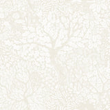 A-Street Prints Olle Forest Sanctuary Cream Wallpaper