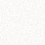 A-Street Prints Kristina Off-White Botanical Off White Wallpaper