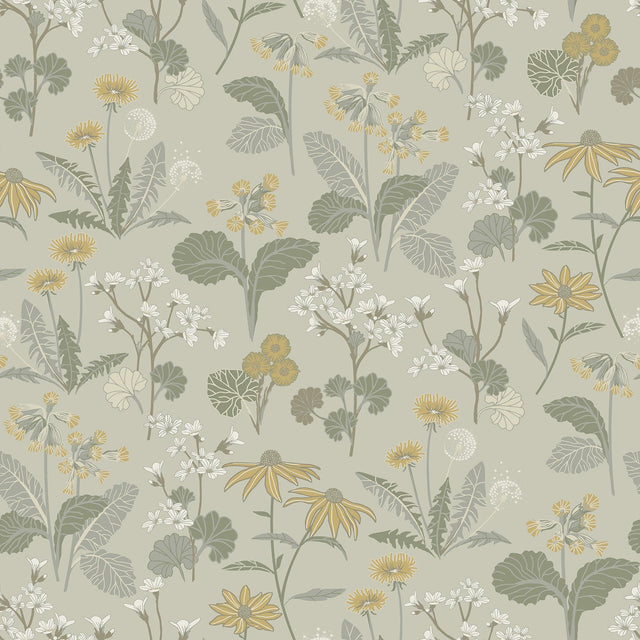 A-Street Prints Magdalena Light Green Dandelion Wallpaper