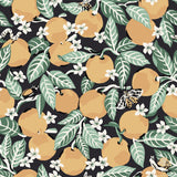Brewster Home Fashions Orange Grove Peel & Stick Ink Wallpaper