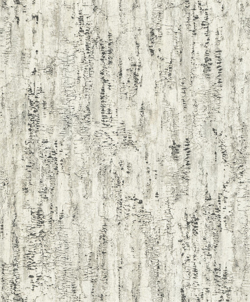 Brewster Home Fashions Colm Charcoal Birch Wallpaper