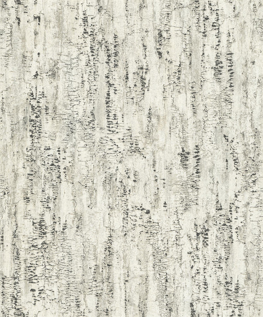 Brewster Home Fashions Colm Birch Charcoal Wallpaper