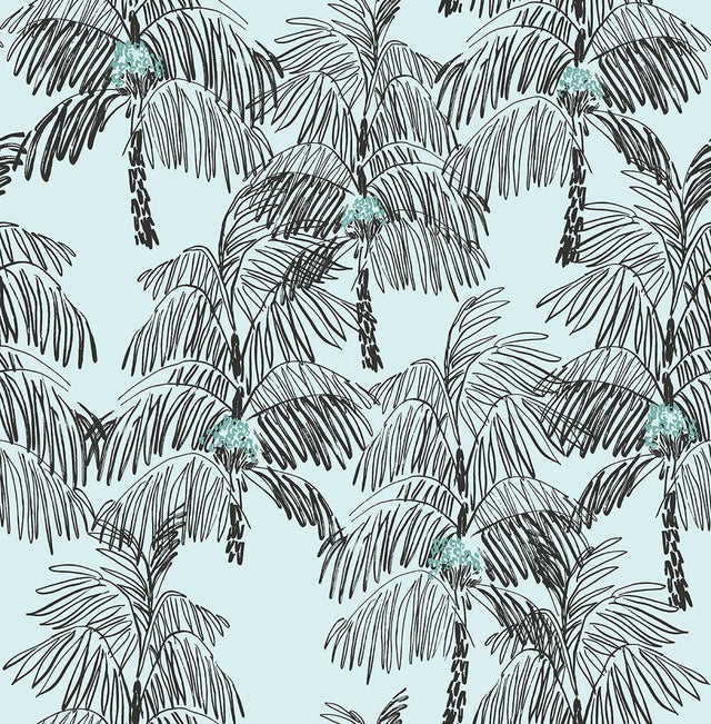 Seabrook Palm Beach Sky Blue & Black Wallpaper