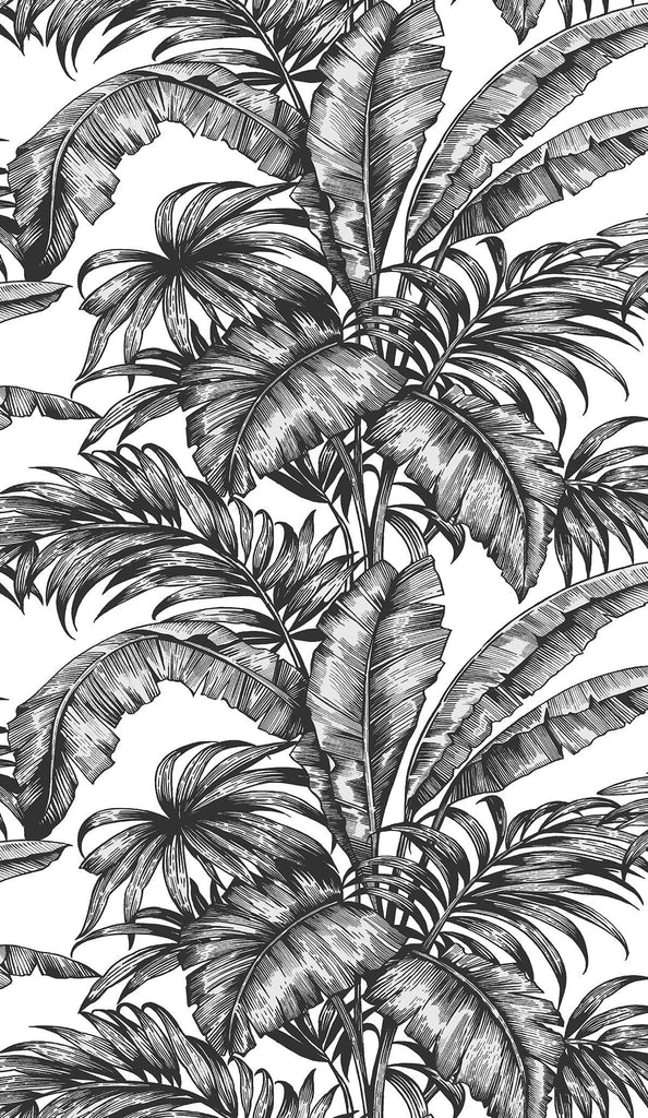 Seabrook Palm Jungle Ebony & Pearl Wallpaper