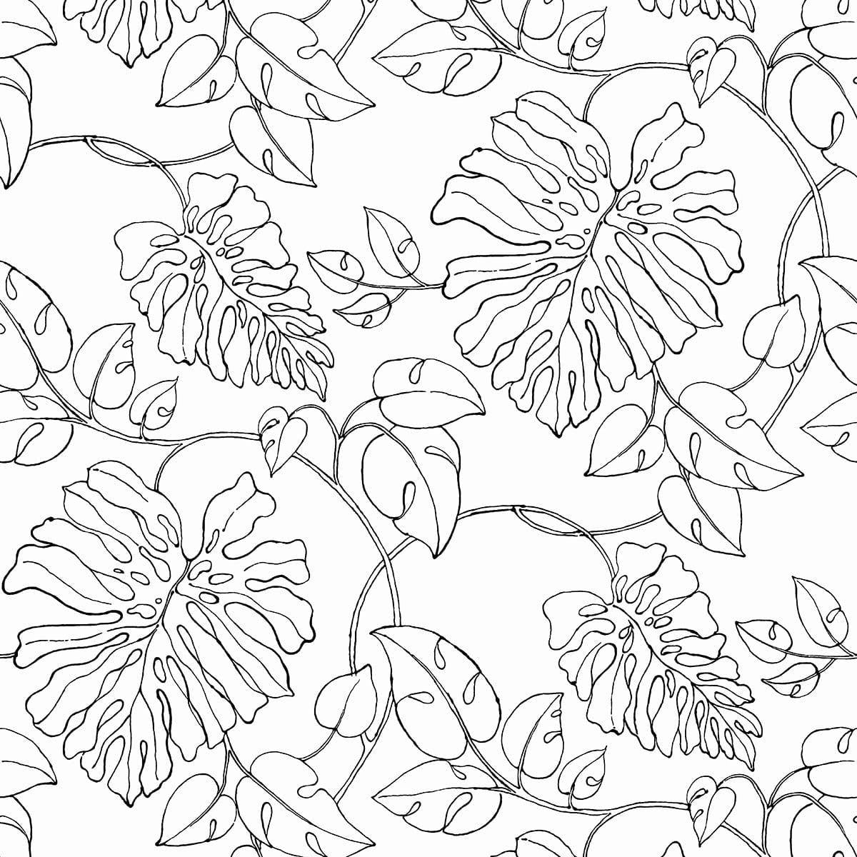 Seabrook Tropical Linework Black & White Wallpaper
