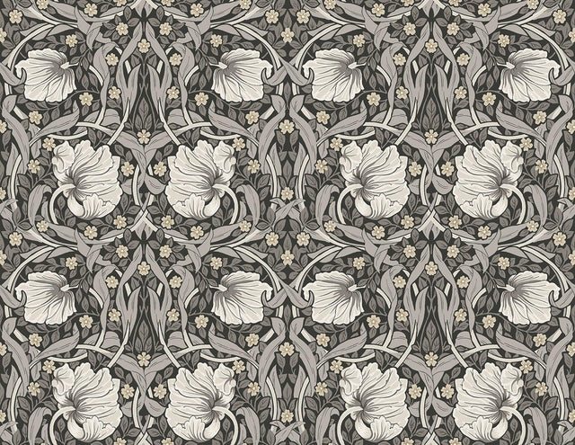 Seabrook Pimpernel Floral Charcoal & Pearl Grey Wallpaper