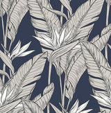 Seabrook Birds of Paradise Navy Blue & Metallic Pewter Wallpaper