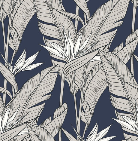 Seabrook Birds of Paradise Navy Blue & Metallic Pewter Wallpaper