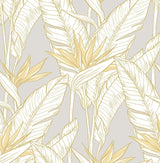 Seabrook Birds of Paradise Grey & Metallic Gold Wallpaper