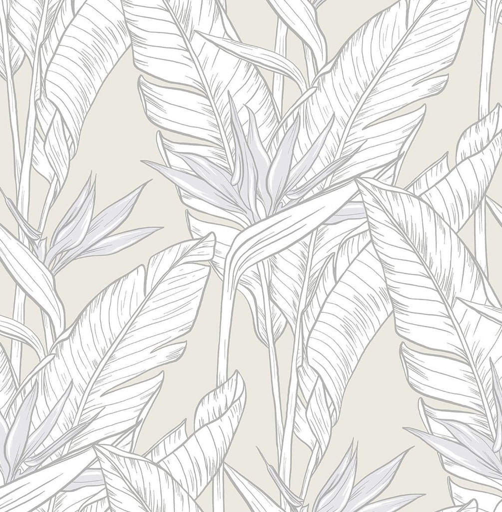 Seabrook Birds of Paradise Pearl Grey & Metallic Silver Wallpaper