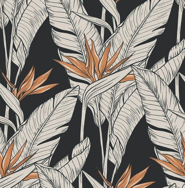 Seabrook Birds of Paradise Onyx & Metallic Copper Wallpaper