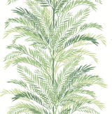 Seabrook Keana Palm Green Wallpaper