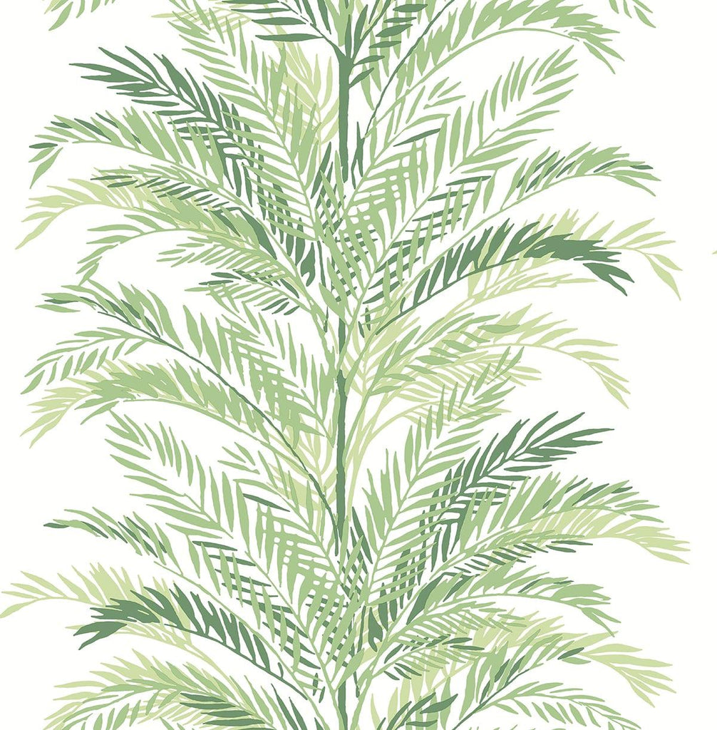 Seabrook Keana Palm Green Wallpaper