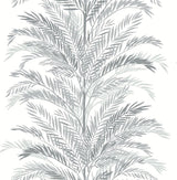 Seabrook Keana Palm Grey Wallpaper