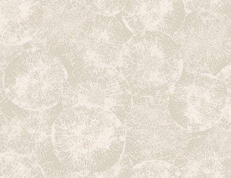 Seabrook Eren Dove Grey Wallpaper