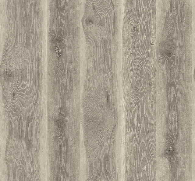 Seabrook Kieri Ash Brown Wallpaper