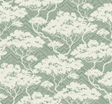 Seabrook Nara Stringcloth Green Wallpaper
