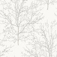 Seabrook Winter Branches Pearl Grey Wallpaper