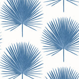 Seabrook Palm Fronds Coastal Blue Wallpaper