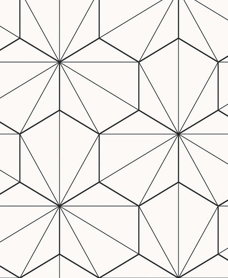 Seabrook Hedron Geometric Black Wallpaper