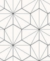 Seabrook Hedron Geometric Ebony & Eggshell Wallpaper