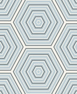 Seabrook Hex Topography Sky Blue & Argos Grey Wallpaper