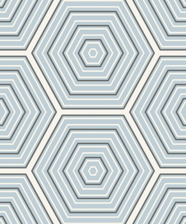 Seabrook Hex Topography Sky Blue & Argos Grey Wallpaper