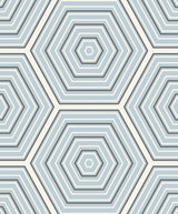Seabrook Hex Topography Blue Wallpaper