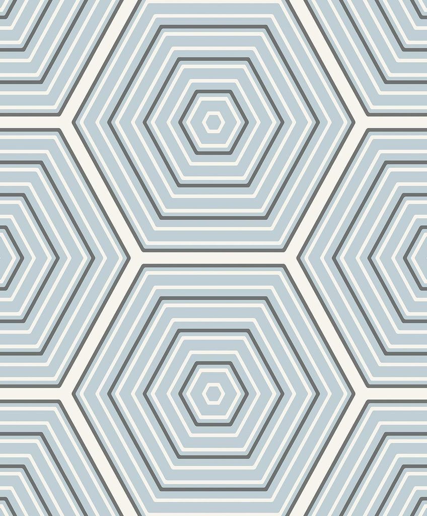 Seabrook Hex Topography Blue Wallpaper
