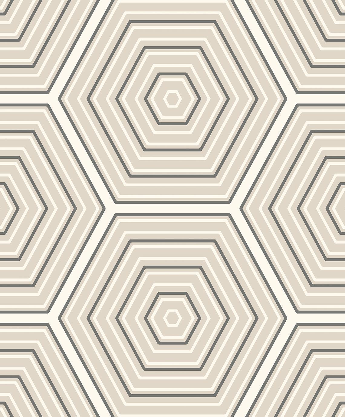 Seabrook Hex Topography Lunar Rock & Argos Grey Wallpaper