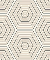 Seabrook Hex Topography Lunar Rock & Argos Grey Wallpaper