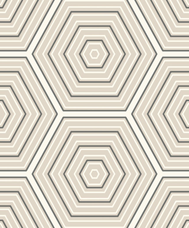 Seabrook Hex Topography Lunar Rock & Argos Grey Wallpaper