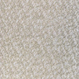 Kravet GILDED LACING NATURAL SILVER Fabric