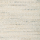 Kravet VARIANCE PLATINUM Upholstery Fabric