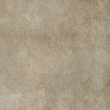 Kravet GILDED DUST QUARTZ Upholstery Fabric
