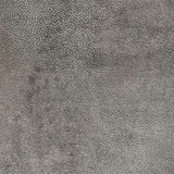 Kravet GILDED DUST PLATINUM Upholstery Fabric