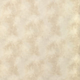Kravet GILDED DUST IVORY Fabric
