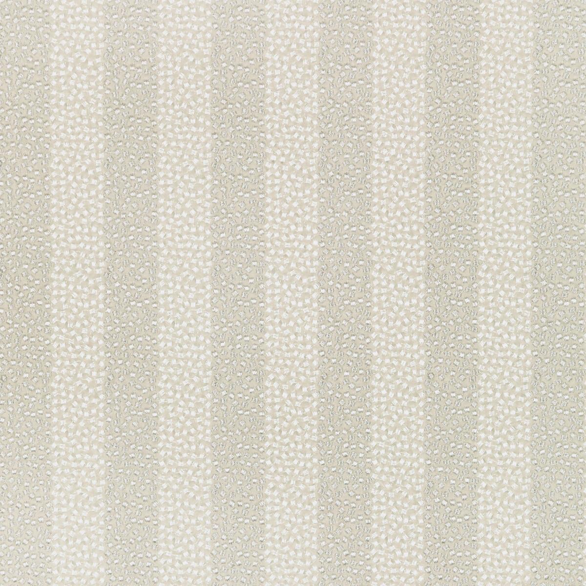 Kravet PROXIMITY PLATINUM Fabric