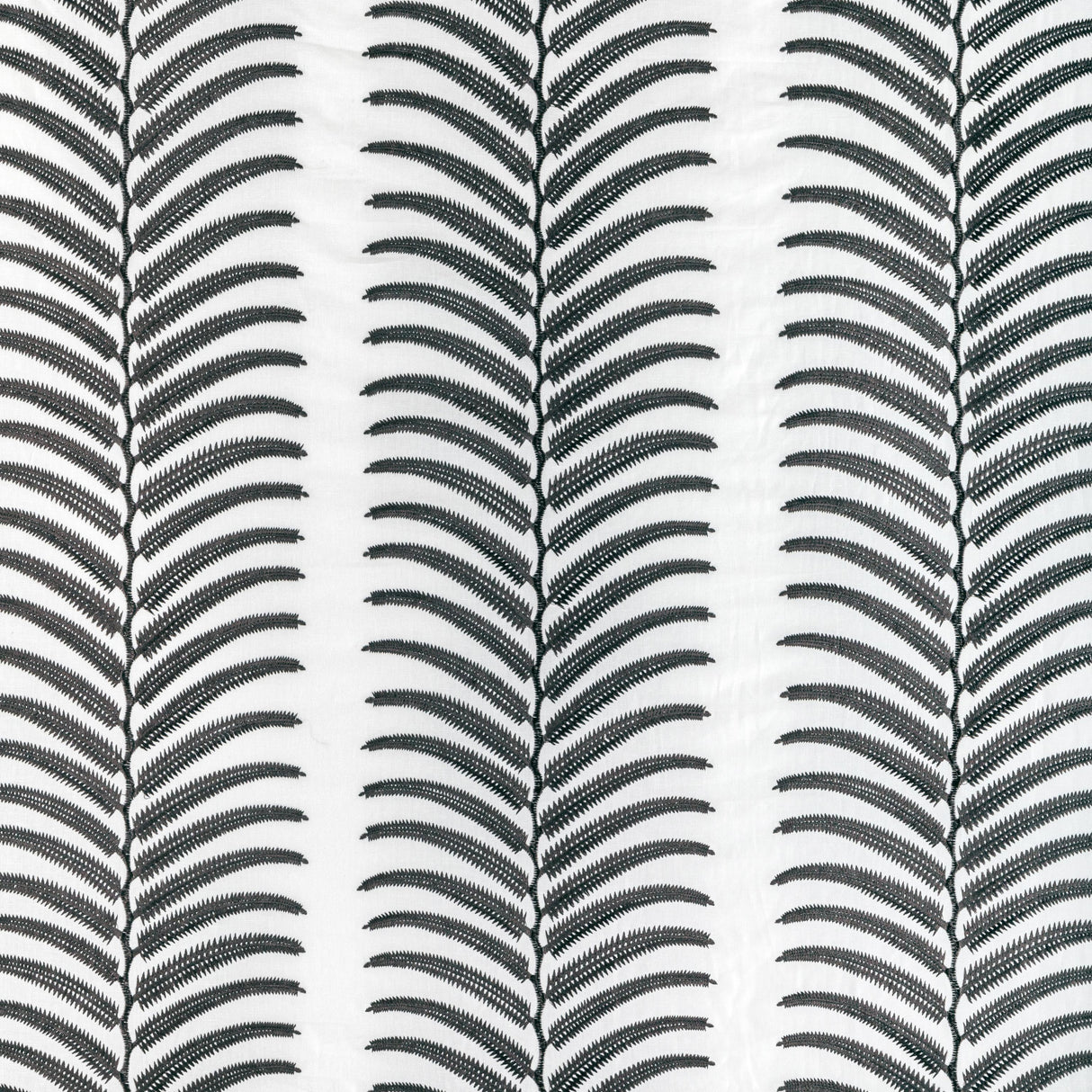 Kravet PLANTAE NOIR Drapery Fabric