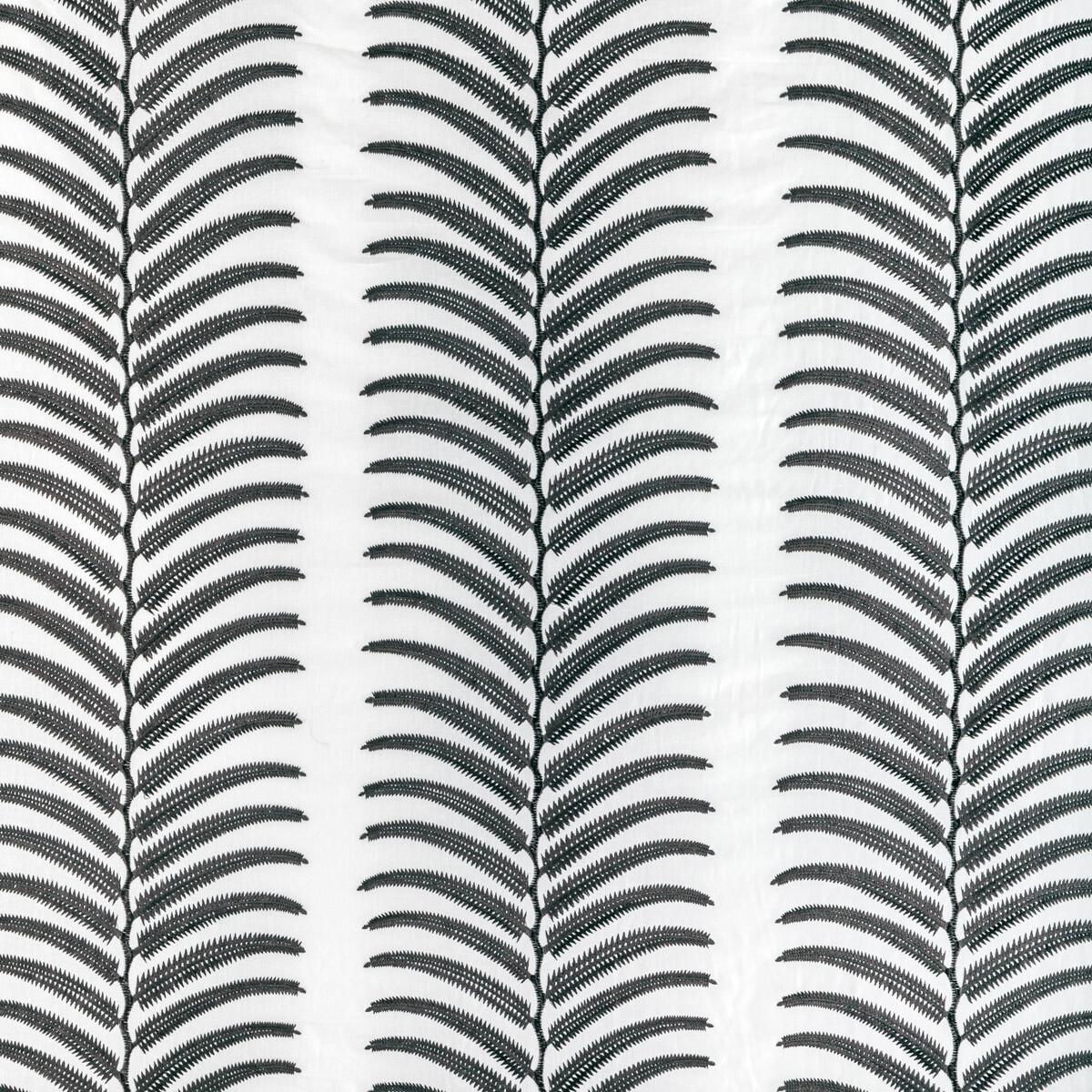 Kravet PLANTAE NOIR Fabric