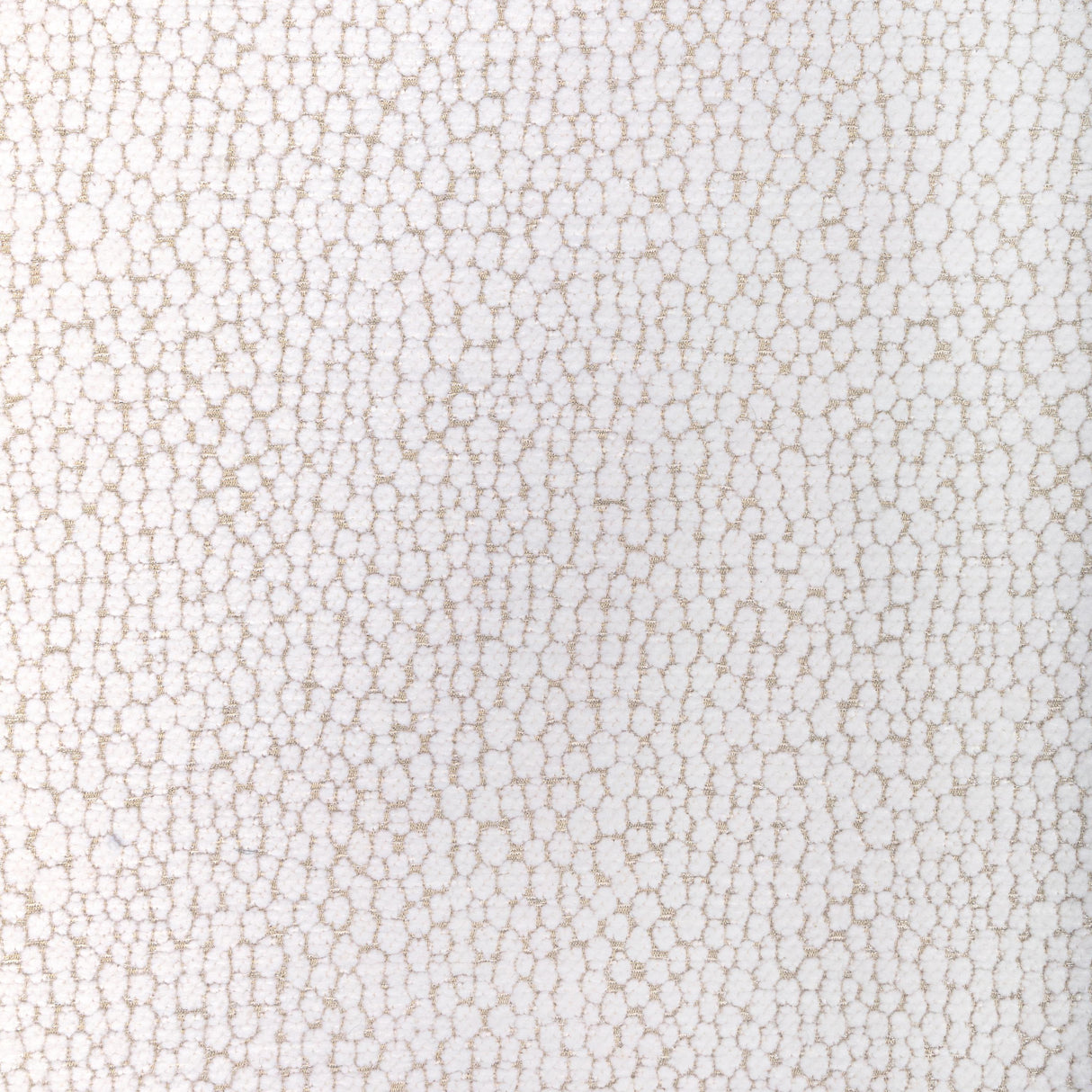 Kravet STARFALL IVORY SILVER Upholstery Fabric