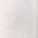Kravet STARFALL IVORY SILVER Upholstery Fabric