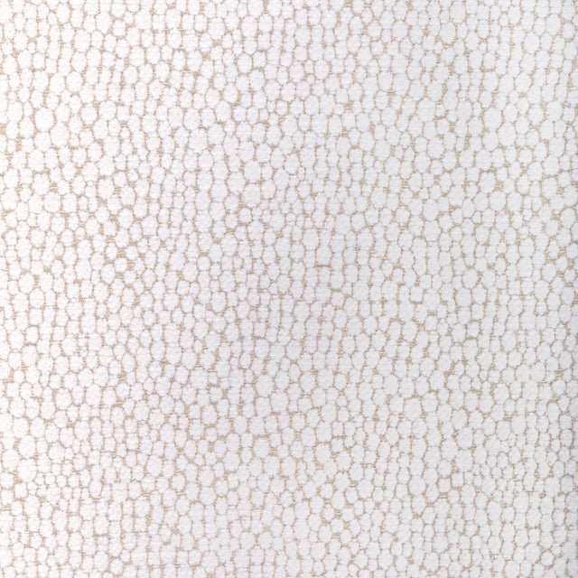 Kravet STARFALL IVORY SILVER Upholstery Fabric