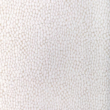Kravet STARFALL IVORY SILVER Fabric