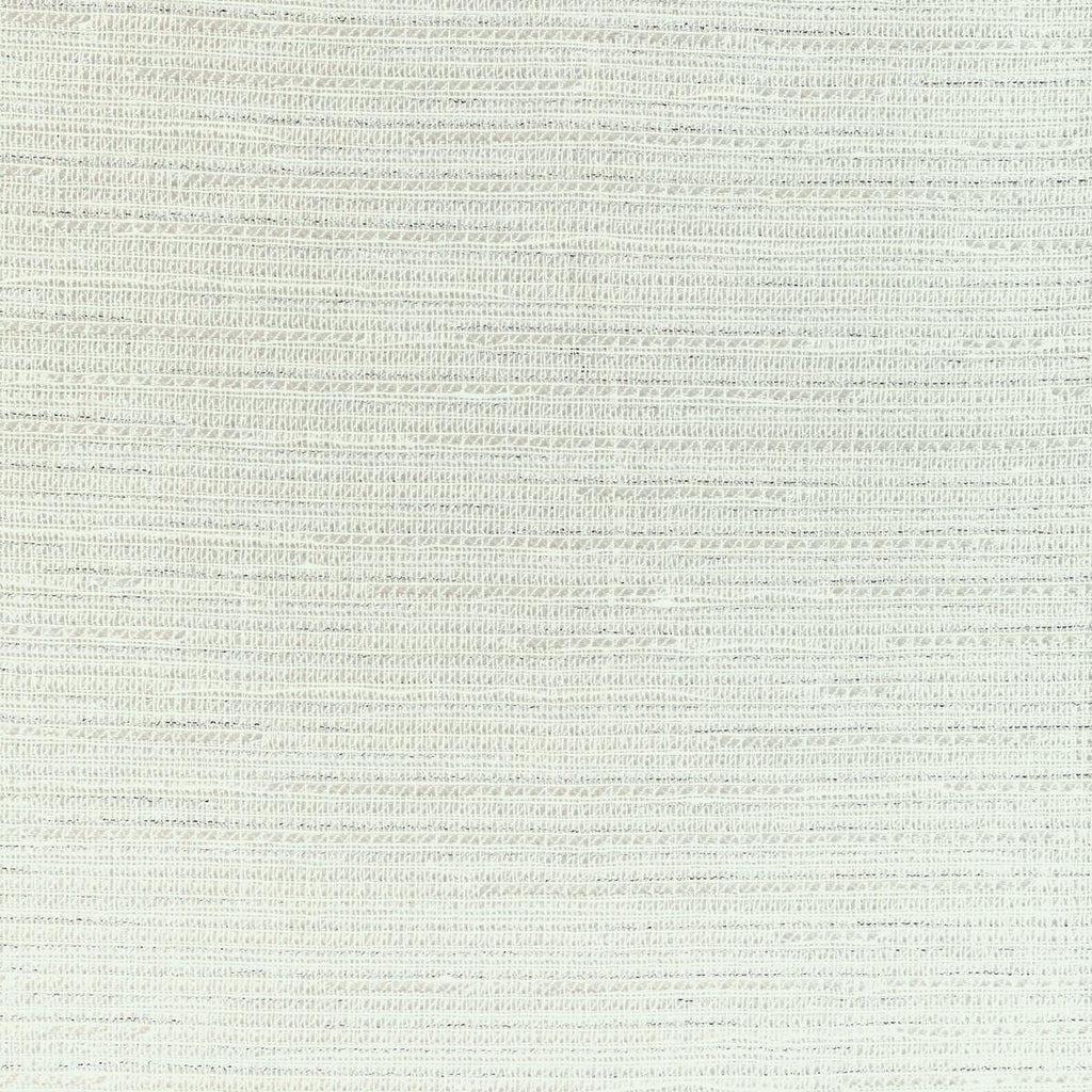 Kravet SHIMMER WAY PLATINUM Fabric