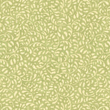 G P & J Baker TANSY GREEN Wallpaper