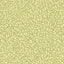 G P & J Baker TANSY GREEN Wallpaper