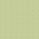 G P & J Baker TILLY GREEN Wallpaper