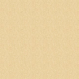 G P & J Baker TILLY SAND Wallpaper